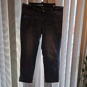 Time and Tru Woman's  Blue Relaxed JeansSize 18P